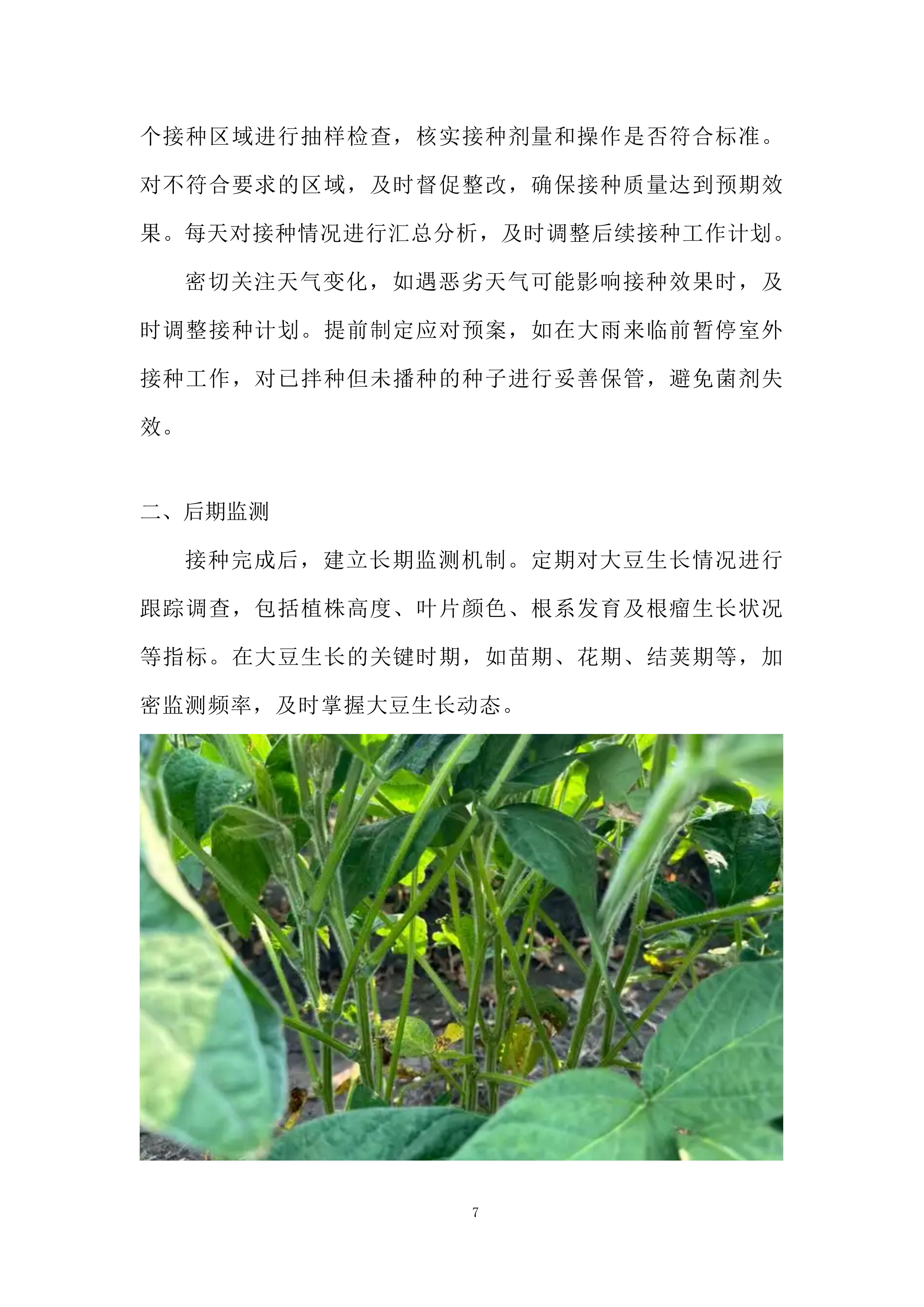 大豆根瘤菌菌剂接种技术示范推广项目投标方案.docx 第7页