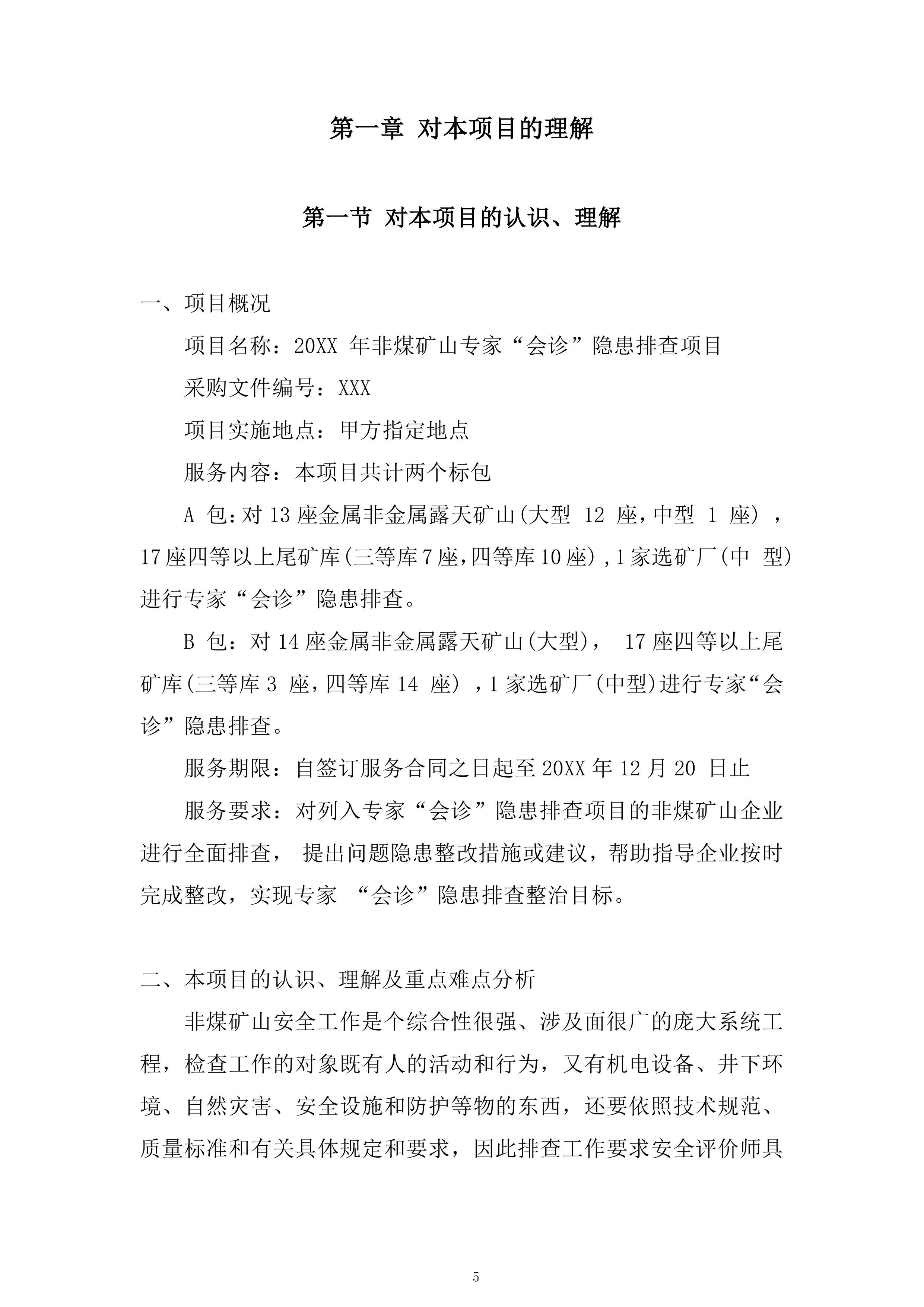 非煤矿山专家&ldquo;会诊&rdquo;隐患排查服务投标方案.docx 第5页
