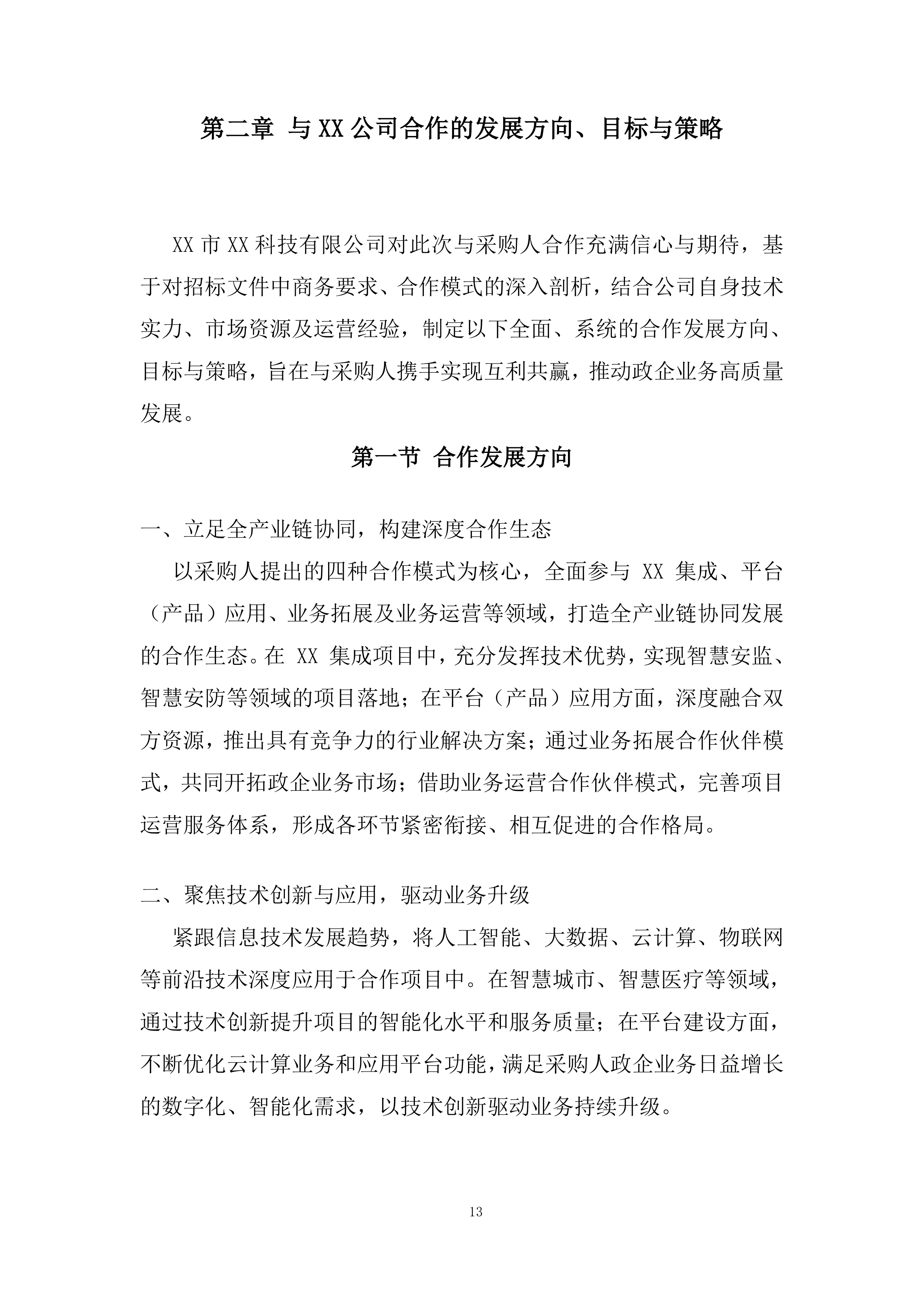 政企业务合作伙伴投标方案.docx 第13页