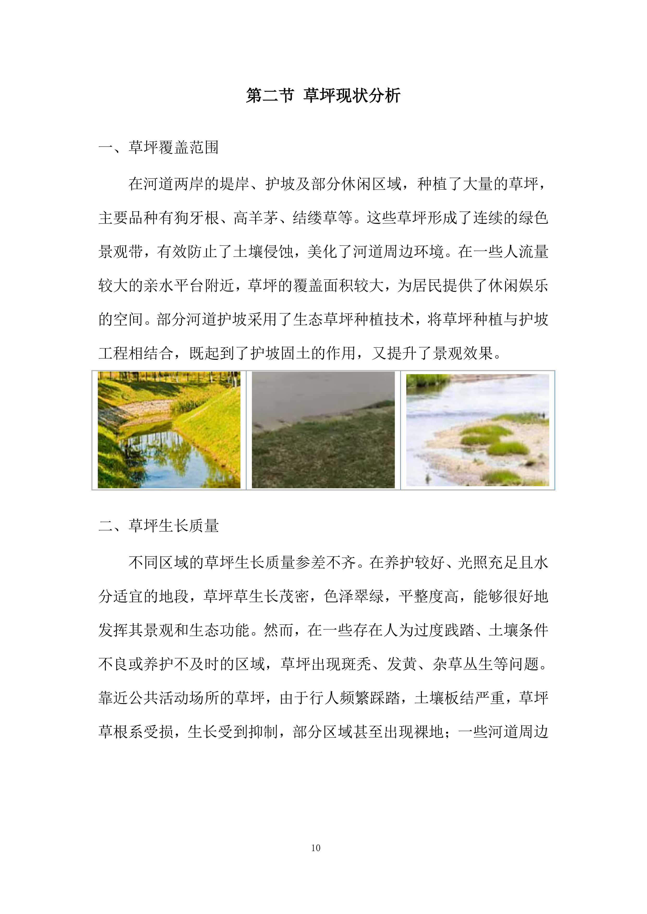 河道植物生态修复投标方案.docx 第10页