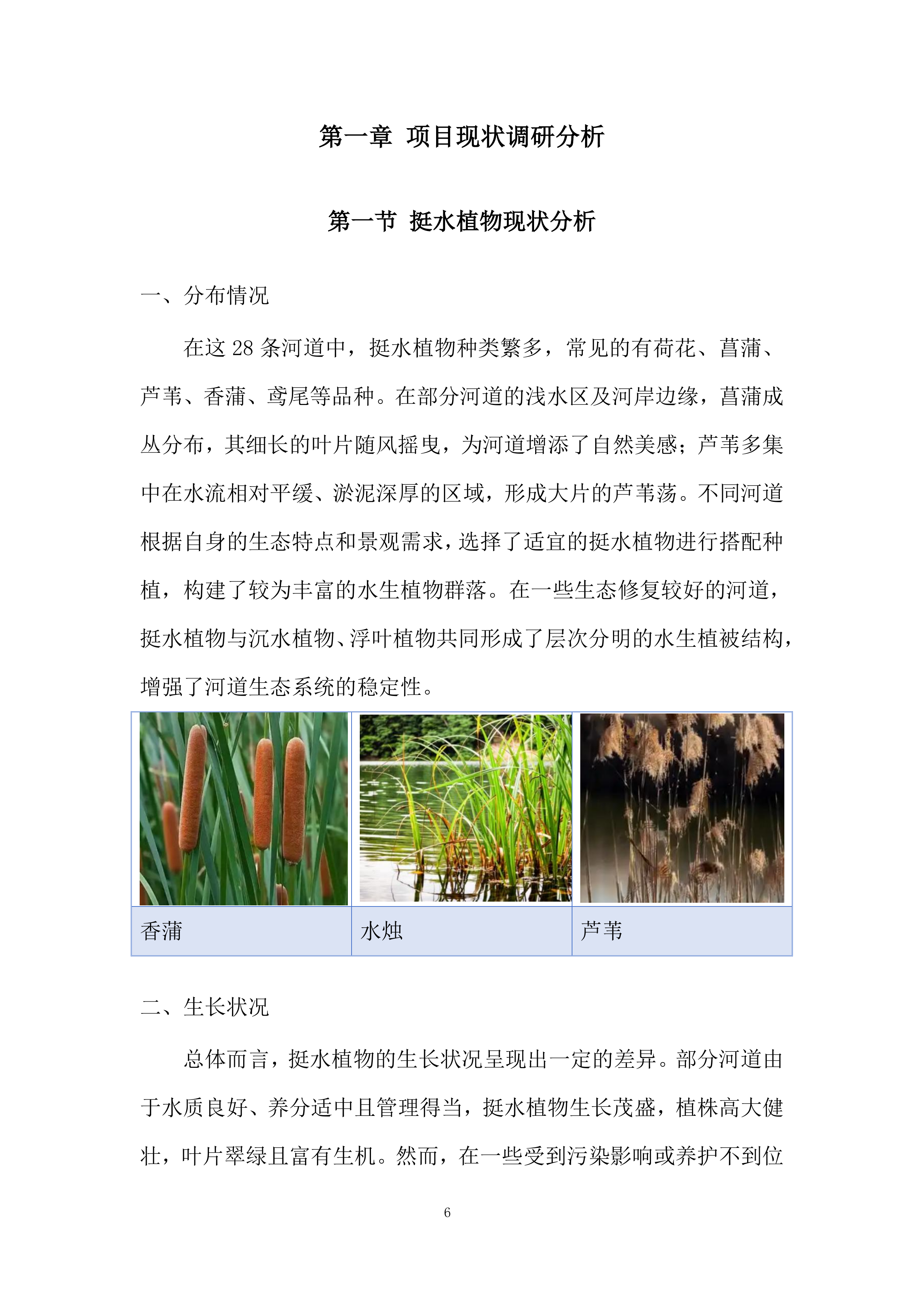 河道植物生态修复投标方案.docx 第6页