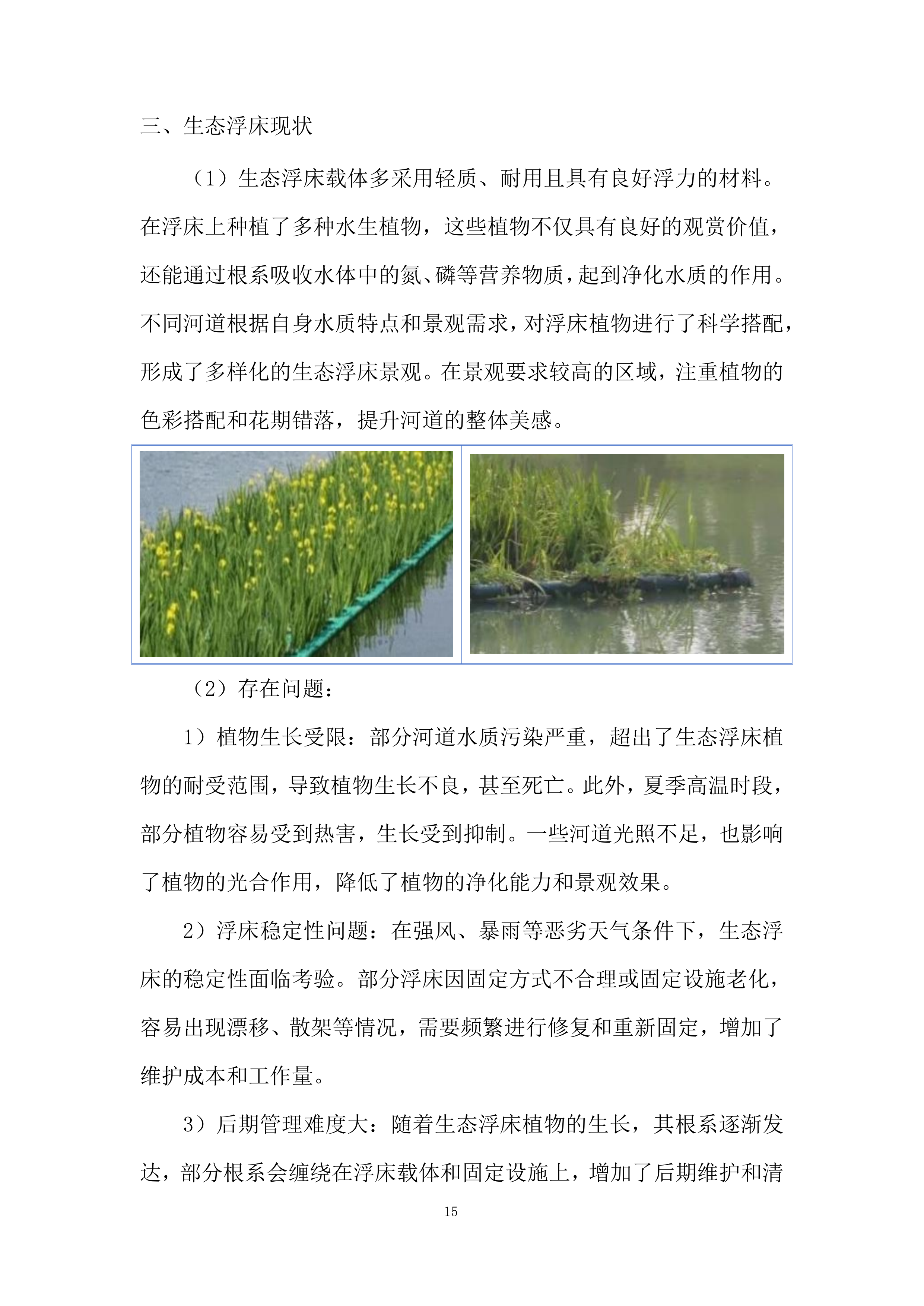 河道植物生态修复投标方案.docx 第15页