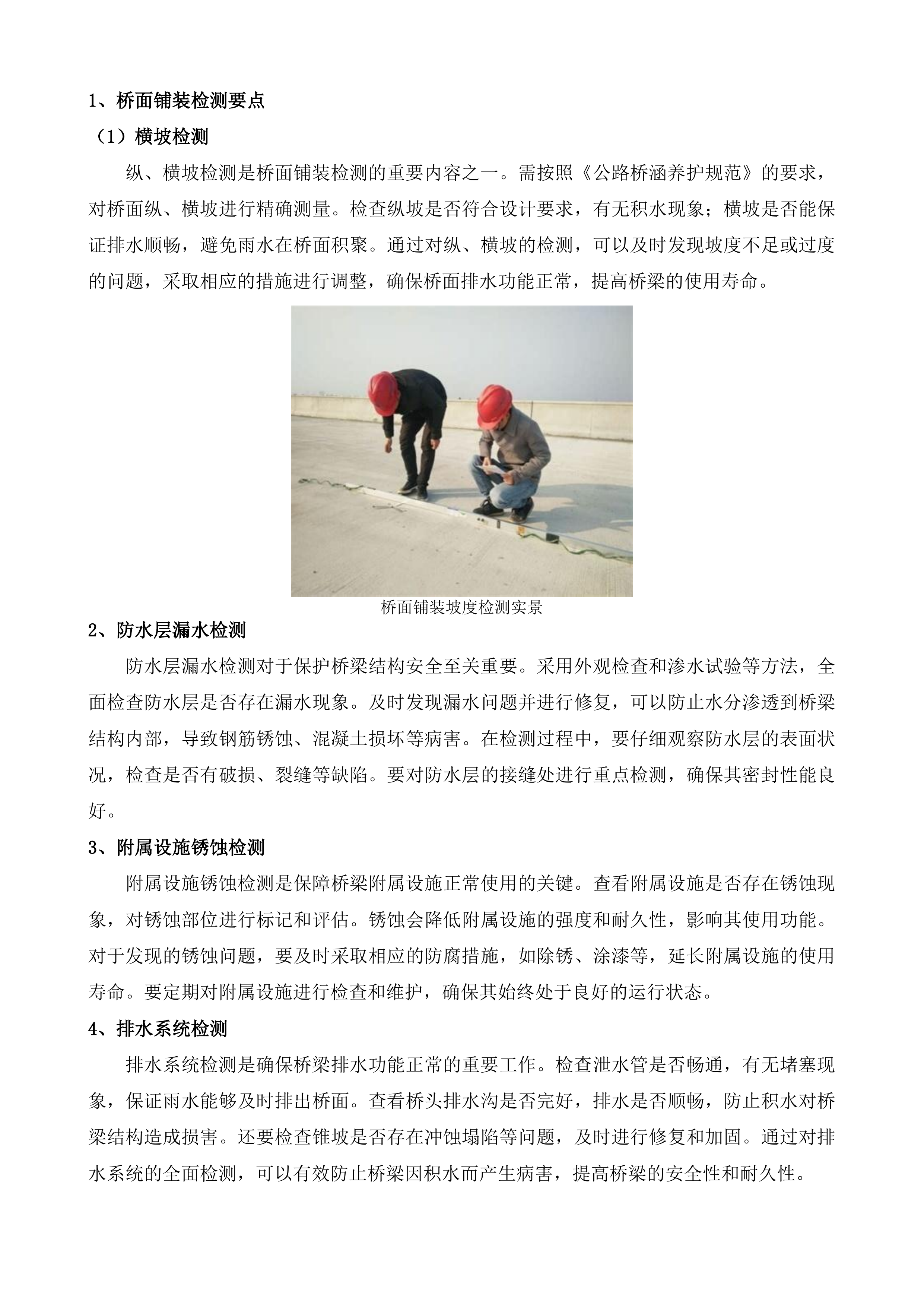 阜宁县2025年农村公路桥梁定期检查和特殊检查项目投标方案.docx 第2页